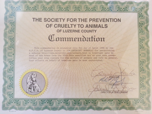 SPCA Commendation 1997